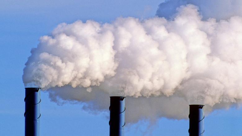 Poluarea aerului poate duce la pierderea mirosului, arata un studiu Imagine