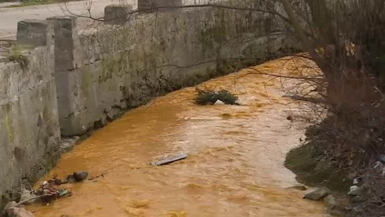 Poluarea de pe Somesul Mare s-a extins Imagine