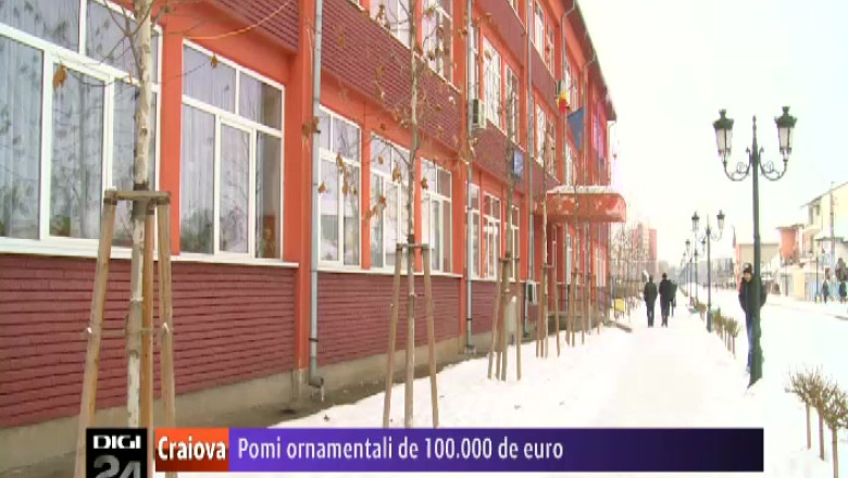 Pomi ornamentali de 100.000 de euro cumparati de Primaria Severin. Curtea de Conturi a descoperit neregulile in urma unui control Imagine