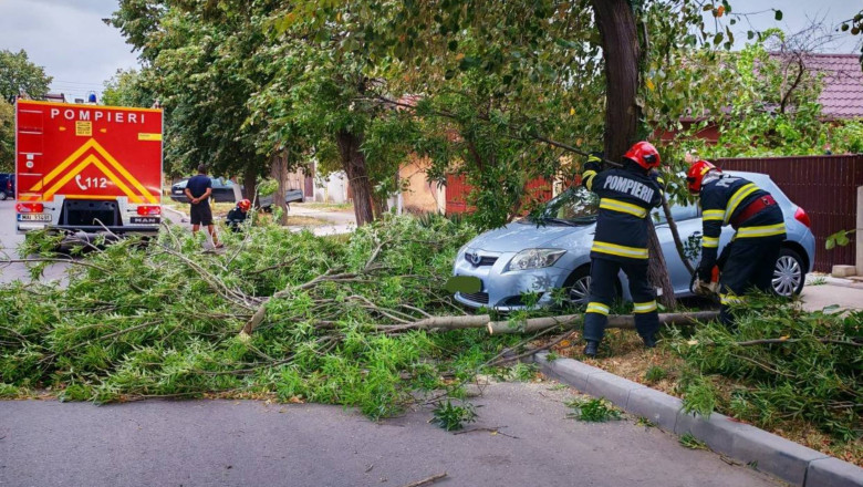Pompierii au intervenit in Bucuresti in urma fenomenelor extreme: crengi pe carosabil si cabluri rupte Imagine