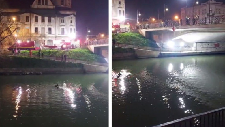 Pompierii cauta o persoana care ar fi cazut in raul Bega. Pe mal s-au gasit o geanta si doi caini care latrau spre apa Imagine