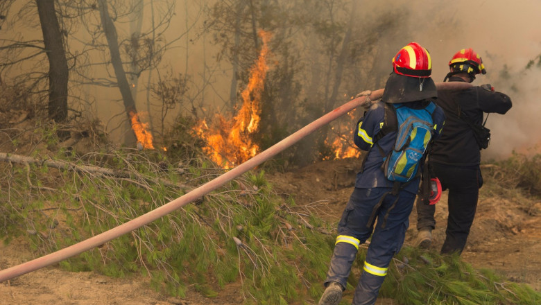 Pompierii greci se antreneaza pentru stingerea incendiilor de vegetatie din acest sezon. Aproape 10.000 de incendii au fost anul trecut Imagine