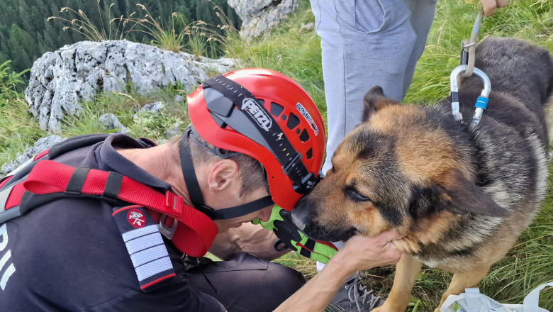 Pompierii ISU Neamt au salvat un ciobanesc german care fugise dupa capre si ramasese blocat pe stanci Imagine