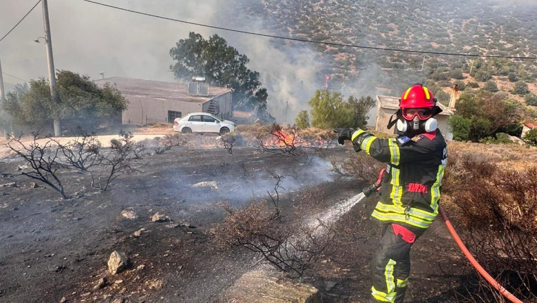 Pompierii romani avertizeaza: peste 250 de incendii au izbucnit in doar 24 de ore. Cate hectare au ars si ce i se recomanda populatiei Imagine