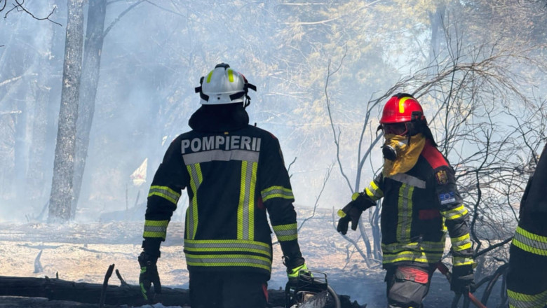 Pompierii romani trimisi in Franta actioneaza cu toate mijloacele tehnice pentru stingerea unui incendiu Imagine