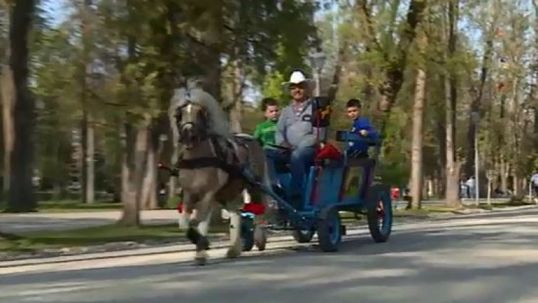 Poneiul Rocky se intoarce in Parcul Central  Imagine