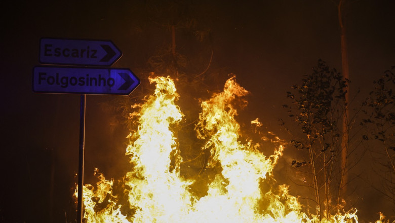 Portugalia, in stare de alerta din cauza celor 17 incendii de padure majore care afecteaza tara: mai multi raniti, inclusiv pompieri Imagine