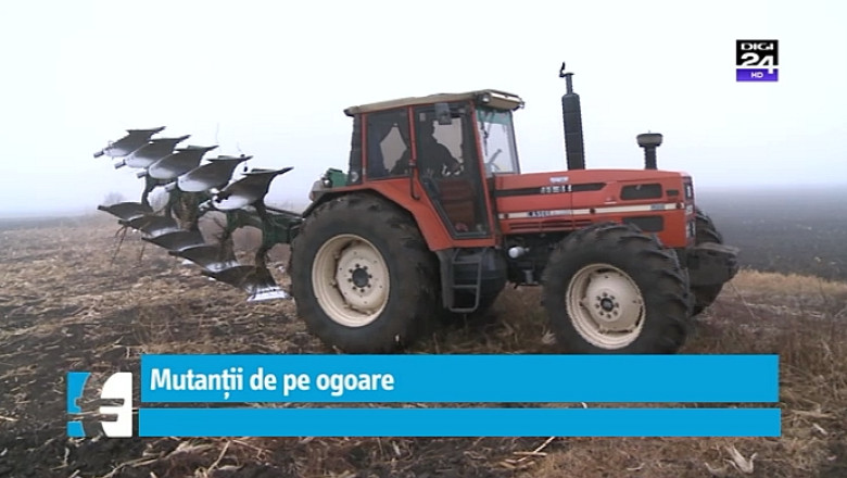 Porumbul modificat genetic poate intra pe ogoarele europene. Soiul DuPont TC1507, respins de Romania la insistentele Frantei Imagine