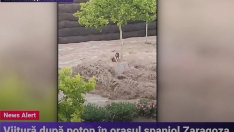 Potop in orasul spaniol Zaragoza, oamenii s-au agatat de pomi ca sa nu fie luati de viitura Imagine