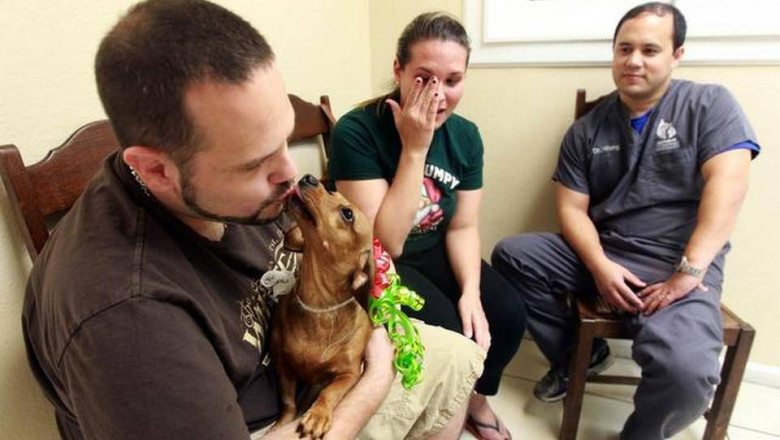 Poveste emotionanta de Craciun: un medic veterinar a operat gratuit cainele si l-a inapoiat familiei care il donase Imagine