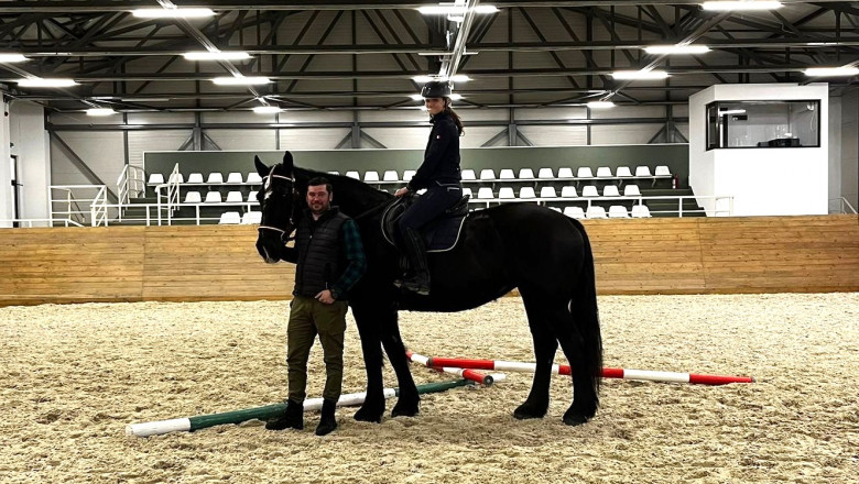 Povestea singurului exemplar de cal Percheron american cu pedigree din Romania. Roma are 10 ani si e vedeta bazei hipice de la USV Iasi Imagine