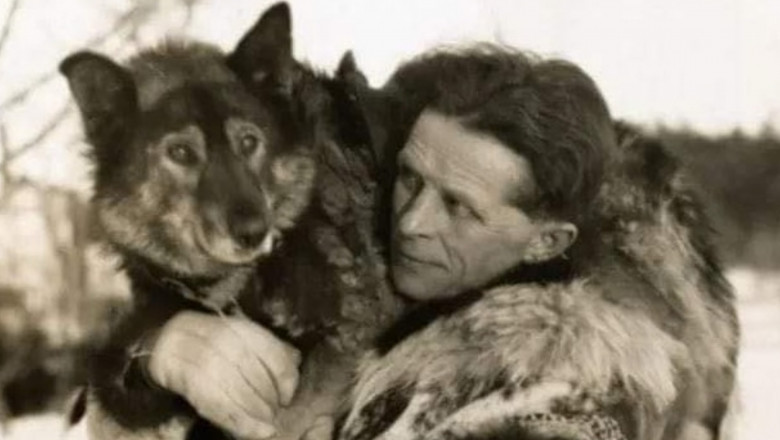 Povestea unui husky siberian care a salvat populatia unui orasel american devastat de o epidemie de difterie Imagine