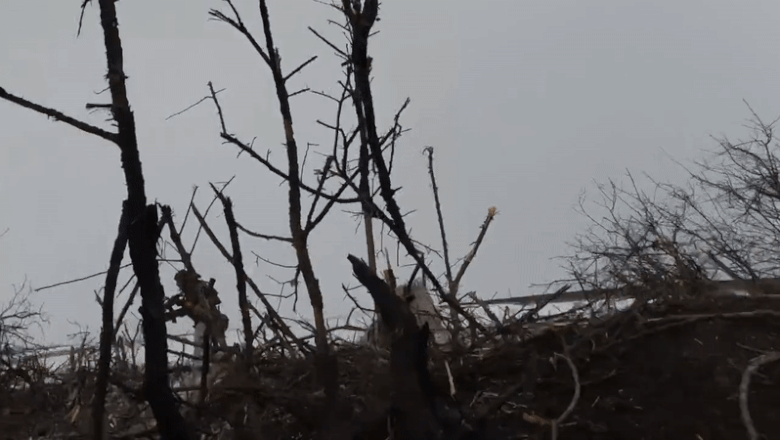 „Predator al Ucrainei”, militarul care a respins de unul singur un atac al rusilor la Bahmut, a supravietuit bataliei si a fost decorat Imagine