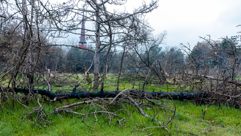 Prefectul Capitalei cere in instanta anularea retrocedarii a 12 hectare din Parcul IOR. Nicusor Dan: Sper sa nu fie un gest de imagine Imagine