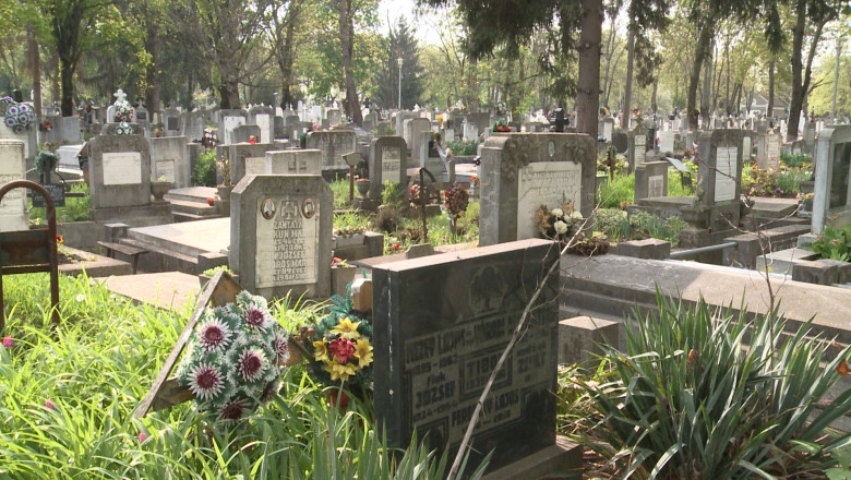 Pregatiri de Ziua Mortilor in Cimitirul Municipal din Oradea Imagine