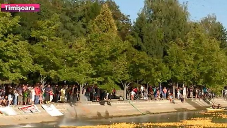 Pregatiri pentru Bega Bulevard. Festivalul, intre 5 - 7 septembrie, atractia va fi Cursa Ratustelor Imagine