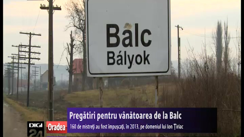 Pregatiri pentru vanatoarea de la Balc Imagine