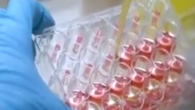 Premiera mondiala in gastronomie. Burgerul din carne artificiala a fost servit la Londra Imagine