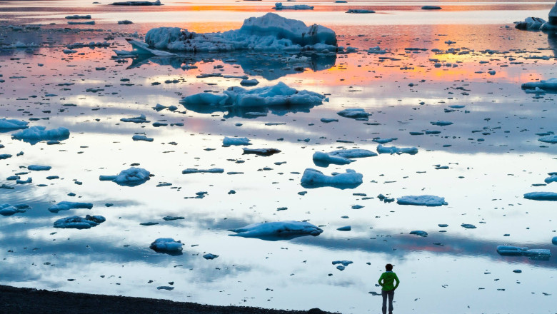 Premiera neplacuta in Islanda: tantarii au ajuns si in mica insula vulcanica celebra pentru mediul sau nu tocmai ospitalier Imagine