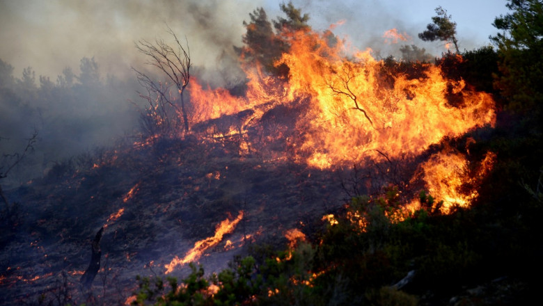 Premierul grec: Zonele devastate de flacari in aceasta vara, in Grecia, vor depasi 150.000 de hectare Imagine