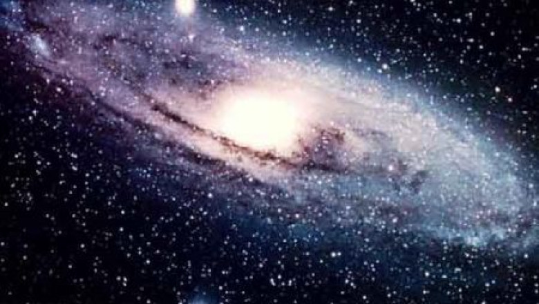 Premiile anti-Nobel: Oamenii pot merge pe apa, iar gandacii de balegar se orienteaza dupa lumina emisa de Calea Lactee Imagine