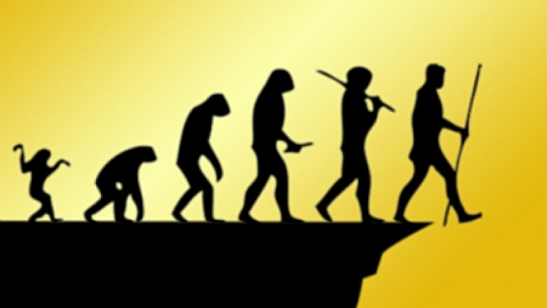 Premiile Darwin 2013: Topul prostiei extreme Imagine