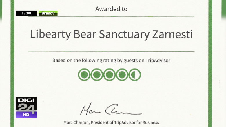 Premiu de excelenta pentru sanctuarul de ursi  Imagine