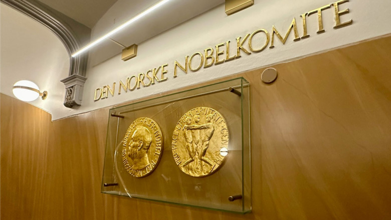 Premiul Nobel pentru Pace a fost decernat organizatiei japoneze Nihon Hidankyo, a supravietuitorilor bombelor atomice Imagine