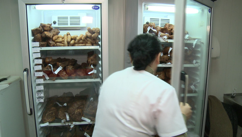 Preparate traditionale facute de studenti Imagine