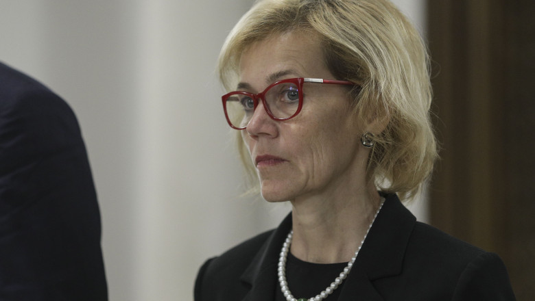 Presedinta Comisiei de politica externa a Camerei Deputatilor a avut prima discutie cu omologul ucrainean despre canalul Bistroe Imagine