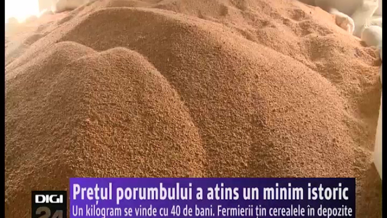 Pretul porumbului a atins un minim istoric. Fermierii tin cerealele in depozite Imagine