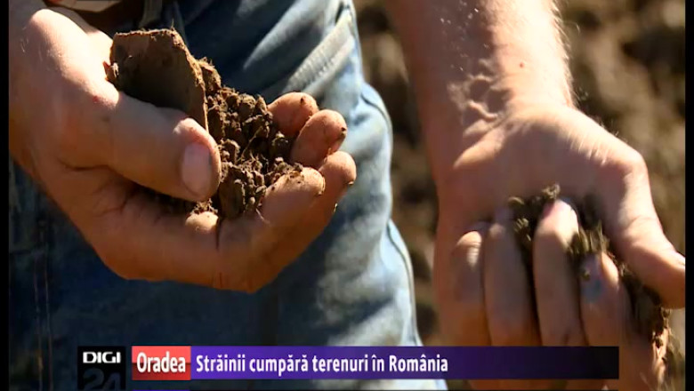 Pretul si calitatea, doua calitati ale pamantului romanesc apreciate de straini. Acestia cumpara terenuri agricole in Romania Imagine