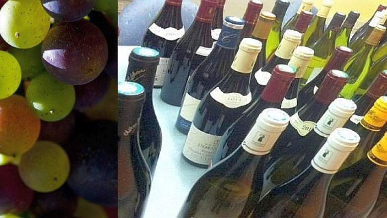 Pretul unei productii bio: Un viticultor francez a fost amendat pentru ca a refuzat sa foloseasca pesticide Imagine