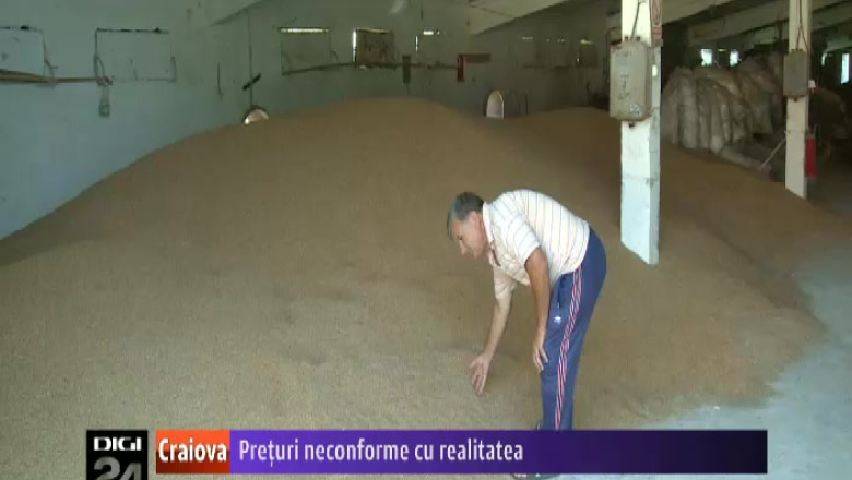 Preturi neconforme cu realitatea. In Dolj, pretul de referinta al graului este aproape dublu fata de cel de pe piata Imagine
