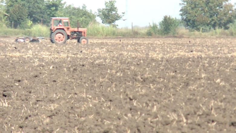 Preturi record la terenurile agricole din vestul tarii Imagine