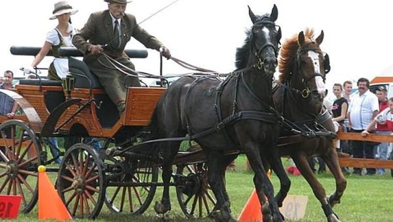 Prima competitie ecvestra din Romania. Stra-stranepoata lui Gheorghe Grigore Cantacuzino vrea sa redea viata domeniului din Floresti Imagine