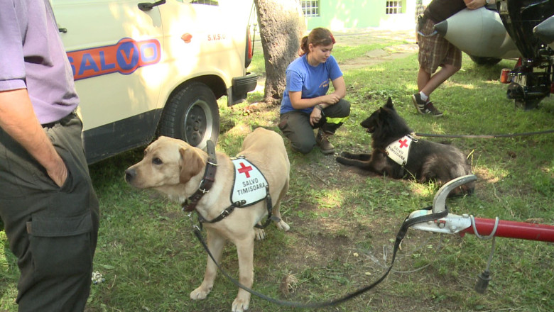 Prima editie romaneasca a Zilei Serviciilor Publice, la Timisoara Imagine