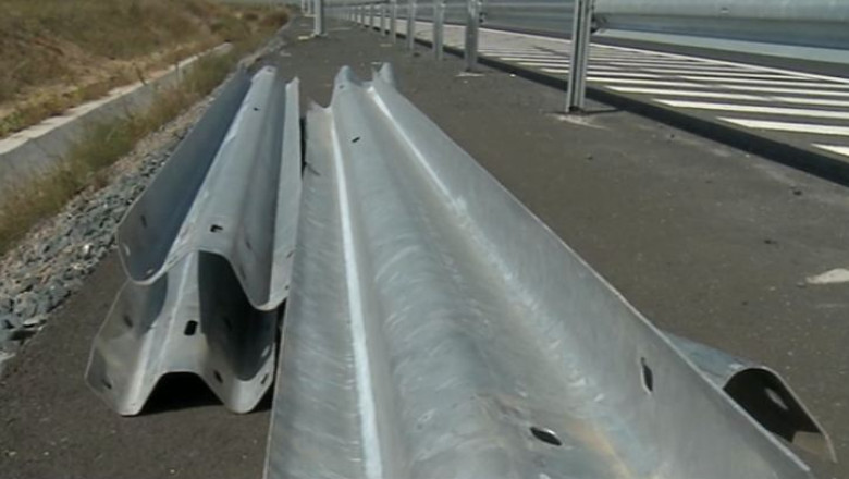 Prima perdea forestiera de protectie a Autostrazii Soarelui, plantata pe 8 kilometri Imagine