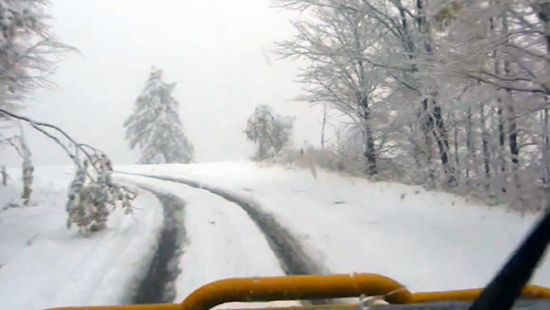 Prima zapada in Banat Imagine