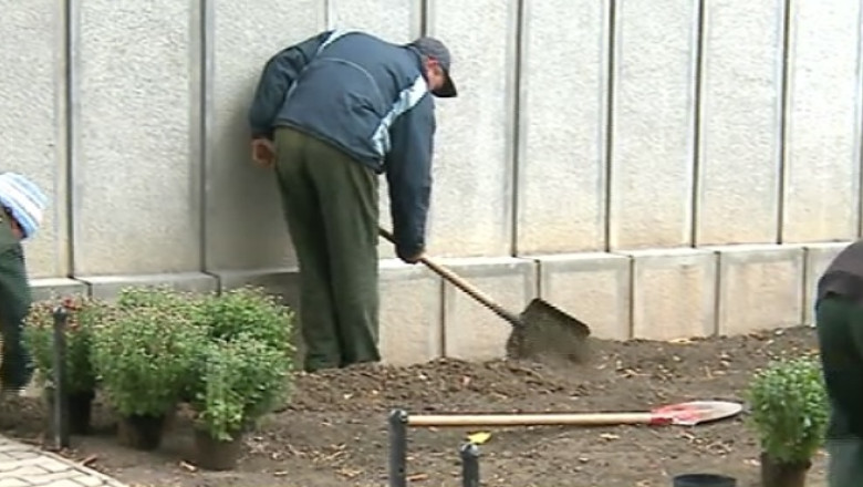 Primaria Iasi scoate bani pentru renovarea Oficiului starii civile. Se casatoreste mezina primarului Imagine