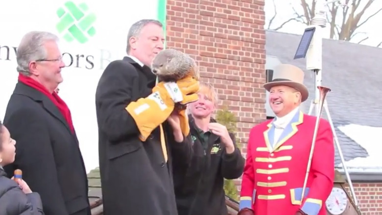 Primarul din New York, acuzat de moartea unei marmote. Cazul a fost musamalizat timp de opt luni Imagine