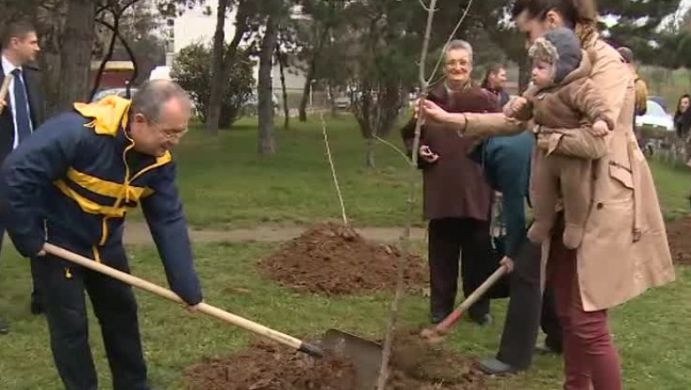 Primarul Emil Boc a pus mana pe lopata Imagine