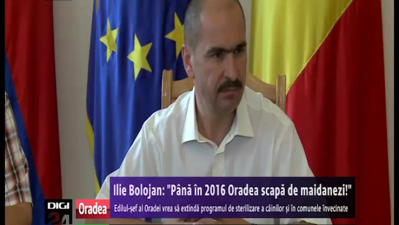 Primarul Ilie Bolojan: "Pana in 2016, Oradea scapa de maidanezi!" Vezi cum va face acest lucru! Imagine