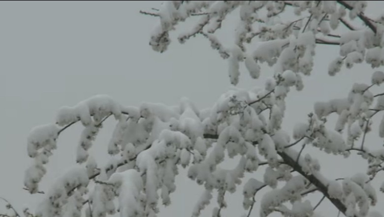 Primavara e ca iarna. Temperaturile au scazut brusc, in statiunile montane e zapada. Cod galben de ploi si ninsori in 12 judete Imagine