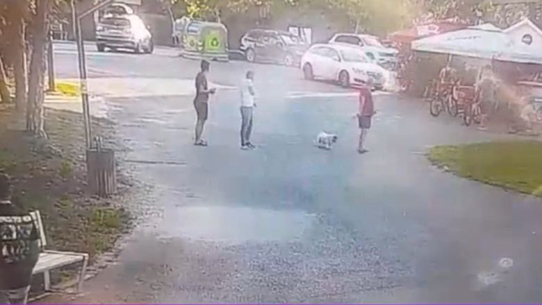 Primele imagini de la locul accidentului din zona Parcului Pantelimon. Reactia oamenilor in momentul in care s-a produs tragedia Imagine