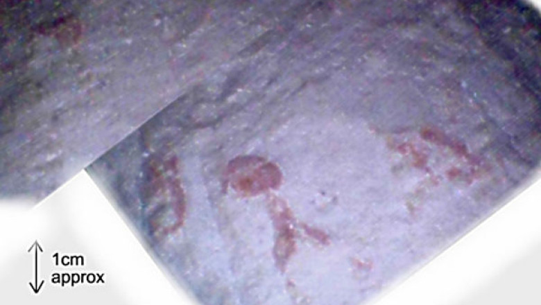 Primele imagini din interiorul camerei secrete din piramida lui Keops Imagine