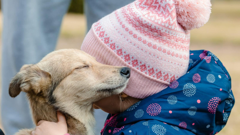 Primul targ de adoptii de catei de anul acesta al ASPA va avea loc sambata, in Parcul Circului Imagine