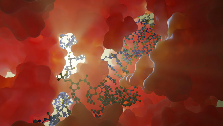 Primul tratament al unor boli ereditare, care utilizeaza „foarfeca moleculara”, autorizat in SUA. Ce este tehnologia CRISPR Imagine
