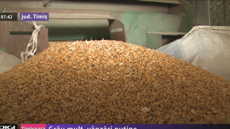 Problema majora pentru agricultorii din Timis: grau mult, vanzari putine Imagine