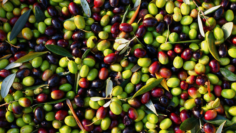 Probleme pe piata uleiului de masline. Salvarea ar putea veni din Grecia Imagine